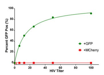 Monitoreo de la infección viral de células 6