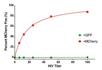 Monitoreo de la infección viral de células 7